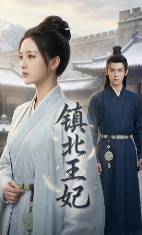 短剧《镇北王妃》海报