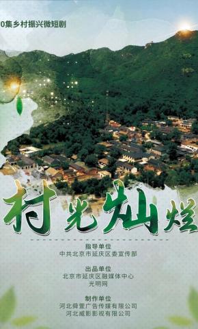 短剧《村光灿烂》海报