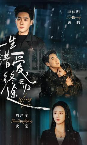 短剧一生错爱，终无归途海报