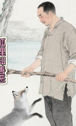 短剧《狐狸知善恶》海报