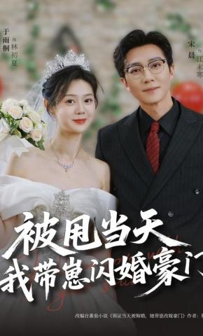 短剧《被甩当天，我带崽闪婚豪门》海报