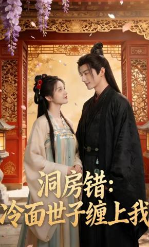 短剧《洞房错：冷面世子缠上我》海报