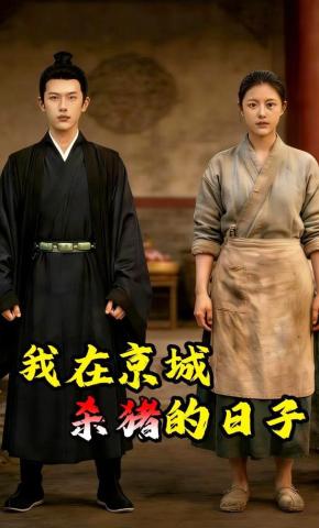 短剧《我在京城杀猪的日子》海报