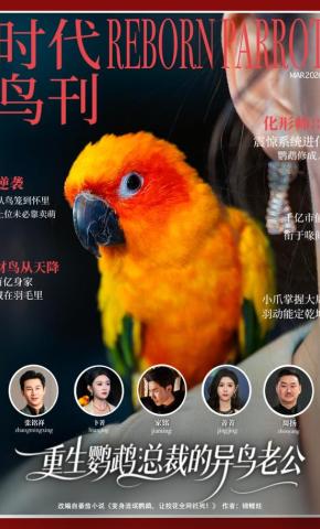 短剧《重生鹦鹉：总裁的异鸟老公》海报