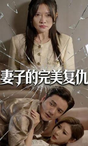 短剧《妻子的完美复仇》海报