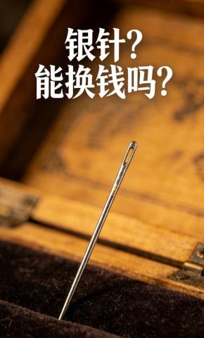 短剧《银针？能换钱吗？》海报
