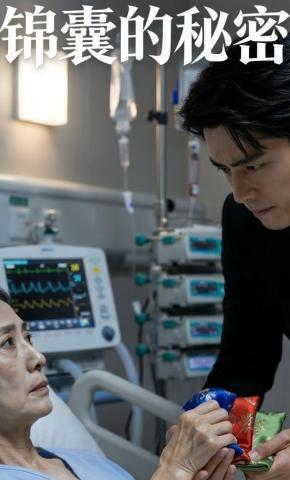 短剧《锦囊的秘密》海报