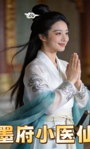 短剧《墨府小医仙》海报