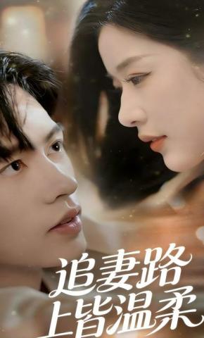 短剧《追妻路上皆温柔》海报