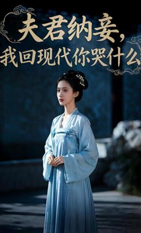 短剧《夫君纳妾，我回现代你哭什么》海报