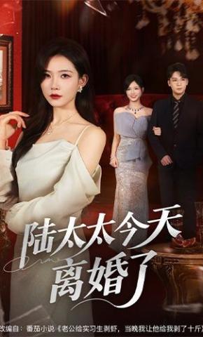 短剧陆太太今天离婚了海报