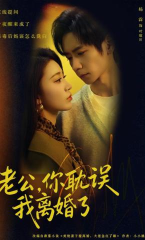 短剧《老公，你耽误我离婚了》海报