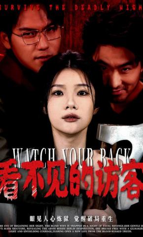 短剧《看不见的访客》海报