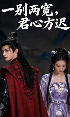 短剧《一别两宽，君心方迟》海报