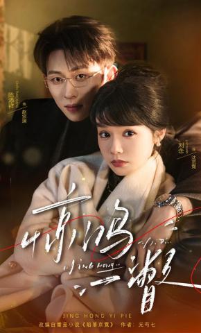 短剧《惊鸿一瞥》海报