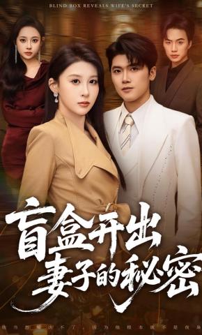 短剧《盲盒开出妻子的秘密》海报