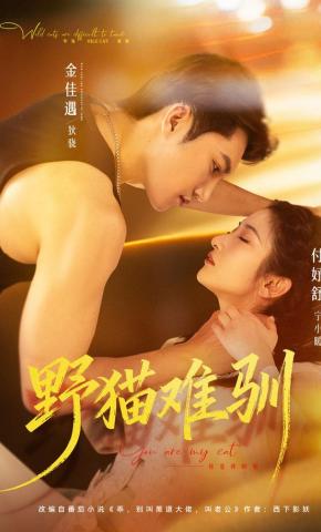 短剧《野猫难驯》海报