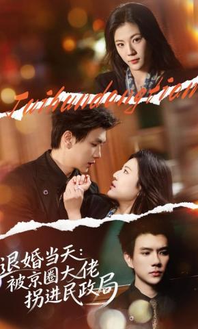 短剧《退婚当天：被京圈大佬拐进民政局》海报