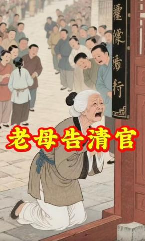 短剧《老母告清官》海报