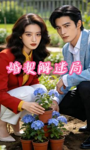 短剧《婚契解迷局》海报