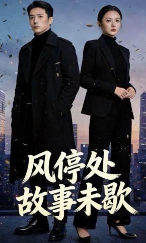 短剧《风停处，故事未歇》海报