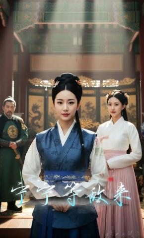 短剧《宁宁等敌来》海报