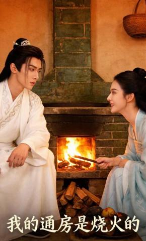 短剧《我的通房是烧火的》海报