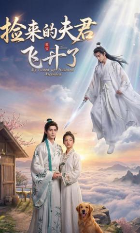 短剧《捡来的夫君飞升了》海报