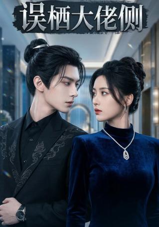 短剧《误栖大佬侧》海报