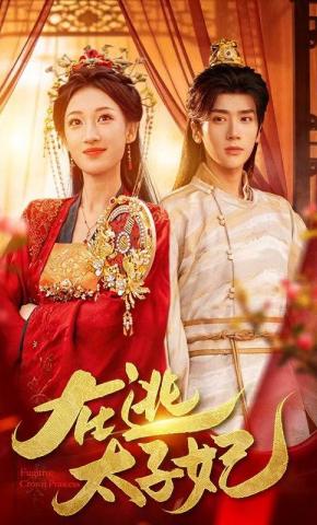 短剧《在逃太子妃》海报