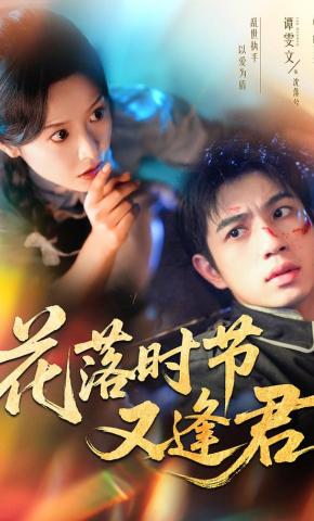 短剧《花落时节又逢君》海报