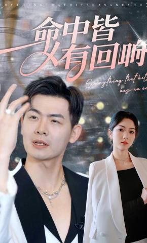 短剧《命中皆有回响》海报