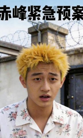 短剧《赤峰紧急预案》海报