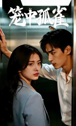 短剧《笼中孤雀》海报