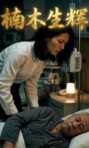 短剧《楠木生辉》海报