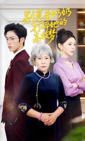 短剧《别惹老奶奶打碎她的高枝梦》海报