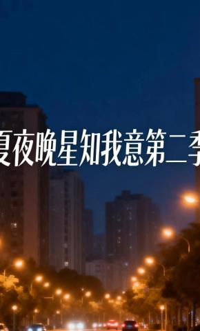 短剧《夏夜晚星知我意第二季》海报