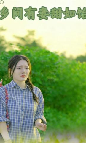 短剧《乡间有妻甜如饴》海报