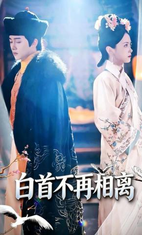 短剧《白首不再相离》海报