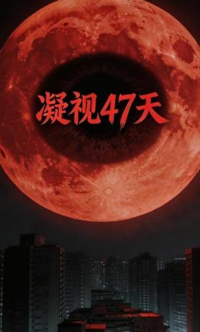 短剧《凝视47天》海报