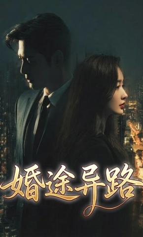 短剧《婚途异路》海报