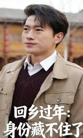 短剧《回乡过年：身份藏不住了》海报