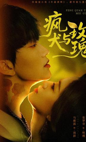 短剧《疯犬与玫瑰》海报