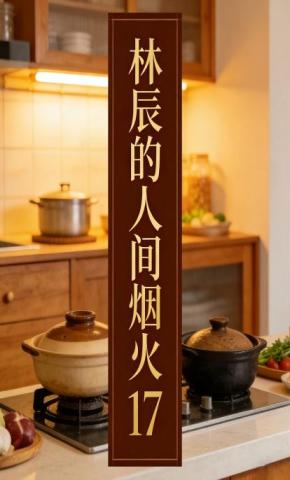 短剧《林辰的人间烟火17》海报