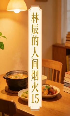 短剧《林辰的人间烟火15》海报
