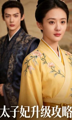 短剧《太子妃升级攻略》海报