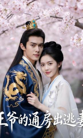 短剧《王爷的通房出逃妻》海报