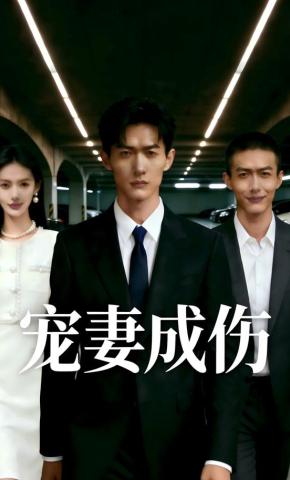 短剧《宠妻成伤》海报