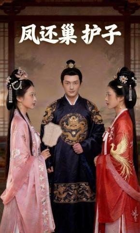 短剧《凤还巢，护子》海报