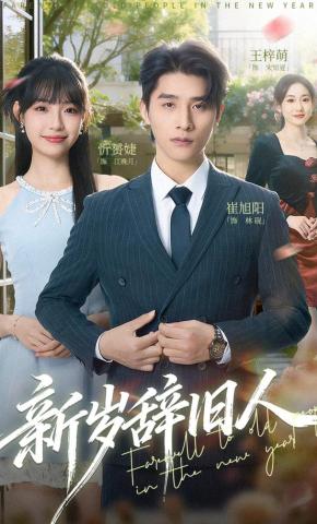 短剧《新岁辞旧人》海报
